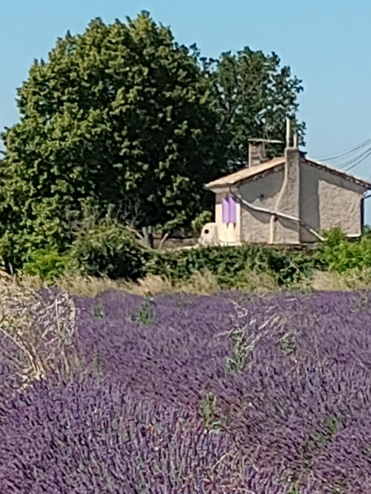 Entre Vignes & Piano 